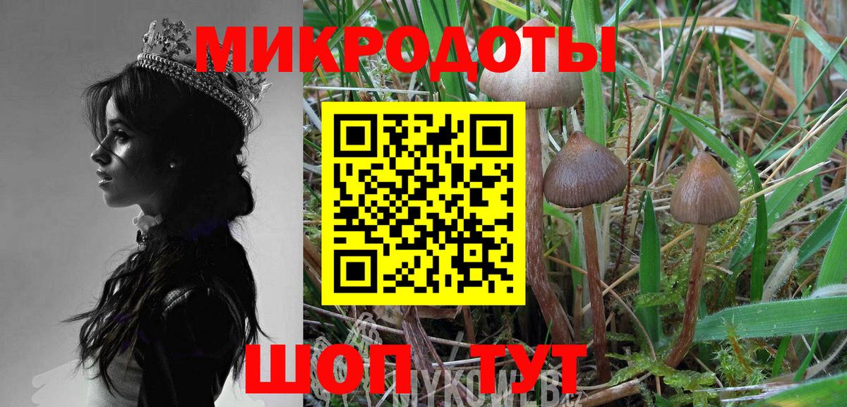 Псилоцибиновые грибы GOLDEN TEACHER Минеральные Воды